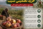 لزوم ورود و پیگیری خرید تضمینی سیب از سوی مسئولین استانی و شهرستانی