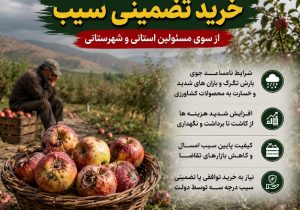 لزوم ورود و پیگیری خرید تضمینی سیب از سوی مسئولین استانی و شهرستانی