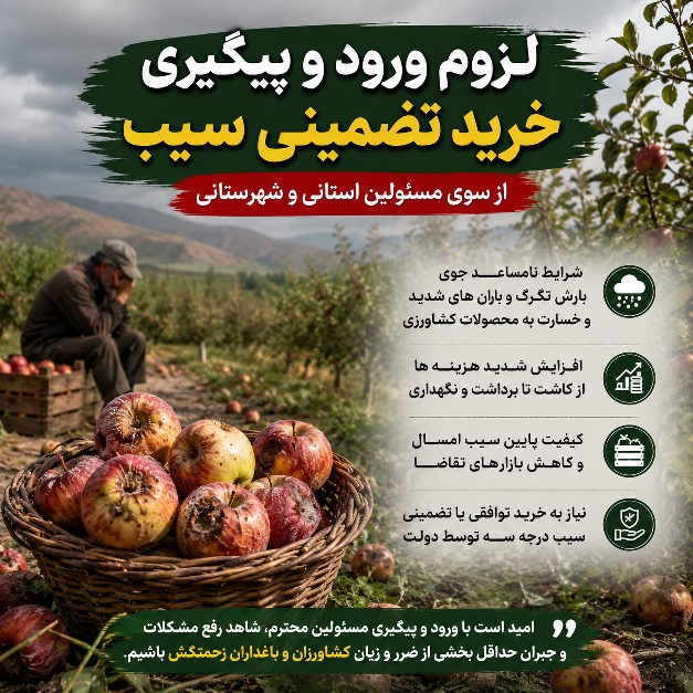 لزوم ورود و پیگیری خرید تضمینی سیب از سوی مسئولین استانی و شهرستانی