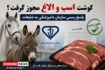 گوشت اسب و الاغ مجوز گرفت؟ پاسخ رسمی سازمان دامپزشکی به شایعات