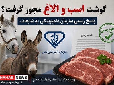 گوشت اسب و الاغ مجوز گرفت؟ پاسخ رسمی سازمان دامپزشکی به شایعات